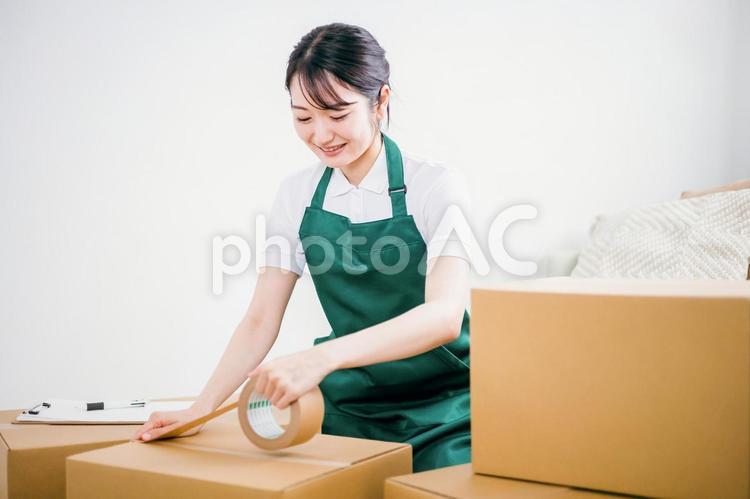 梱包する引越し業者の女性 引越し,ダンボール,梱包の写真素材
