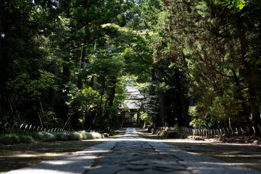 ［神奈川県鎌倉市］寿福寺 鎌倉,寿福寺,参道の写真素材