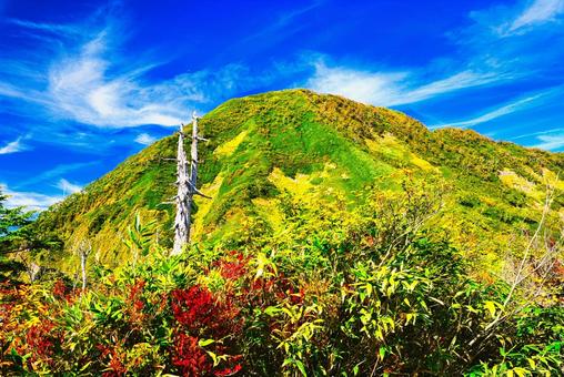 紅葉の日本百名山の戸隠連峰の高妻山 紅葉,日本百名山,戸隠連峰の写真素材