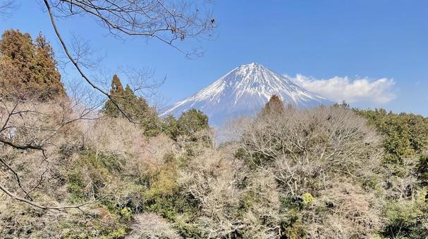 富士山 富士山の写真