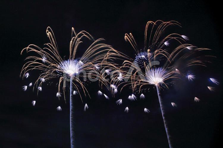 なにわ淀川花火大会2025 花火,打上花火,なにわ淀川花火大会の写真素材