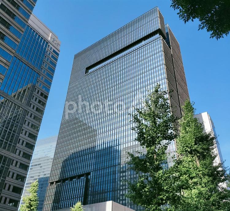 木とオフィスビルと鮮やかな空 ビジネス,ビル,オフィスビルの写真素材