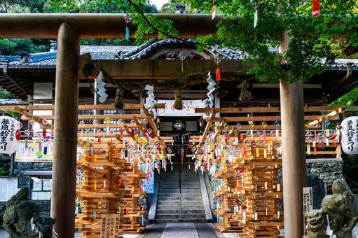 宇賀部神社 宇賀部神社 宇賀部神社,神社,参拝の写真素材
