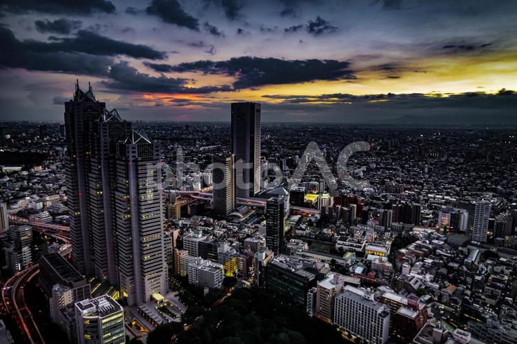 東京都庁の展望台から見える新宿の都市風景と夕景 東京,街並み,夕景の写真素材