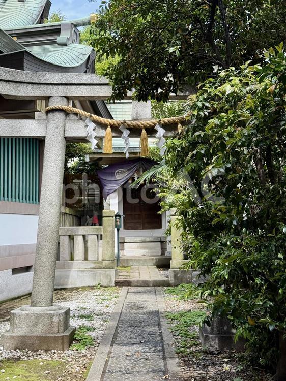 豊島区　池袋　大鳥神社　社 神社仏閣,狛犬,池袋の写真素材