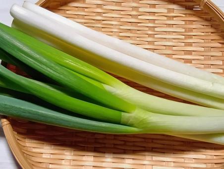 長ネギの写真