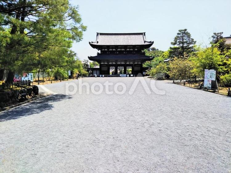 仁和寺　二王門 仁和寺,門,京都の写真素材