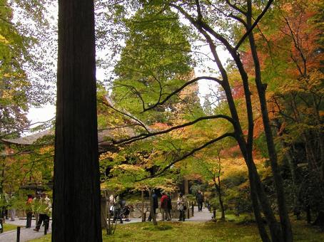 京都 大原 京都 大原の写真
