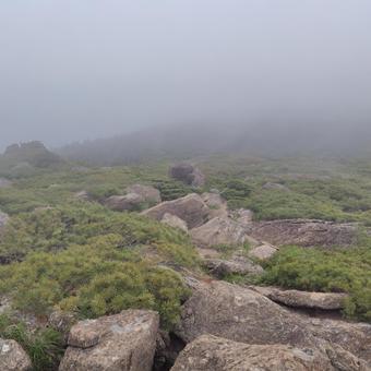 霧のかかる岩場 登山,雲,曇天の写真素材