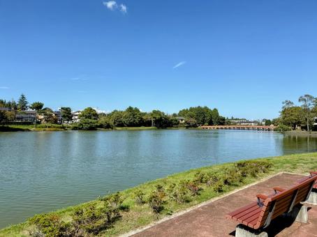 住宅街にほど近い静かな池の公園 池,水面,公園の写真素材