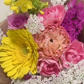 ミニブーケ 花,ミニブーケ,花束の写真素材