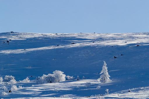 青空と広大な雪原 雪,冬,雪原の写真素材