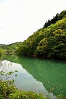 名もなき淵 名もなき淵 淵,風景,自然の写真素材
