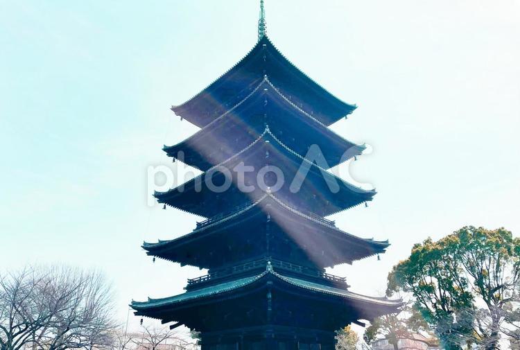 五重塔と桜に包まれる五重の五重 五重塔,風景,寺の写真素材