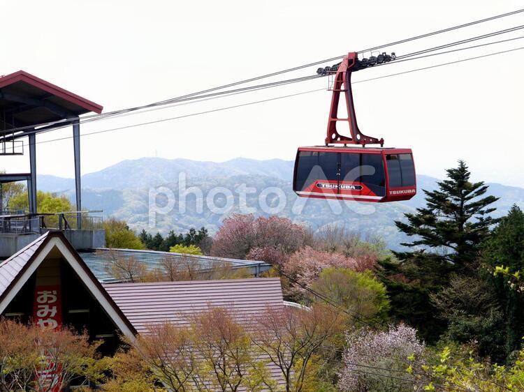 筑波山ロープウェイとつつじが丘駅 筑波山ロープウェイ,つつじが丘駅,ロープウェイの写真素材