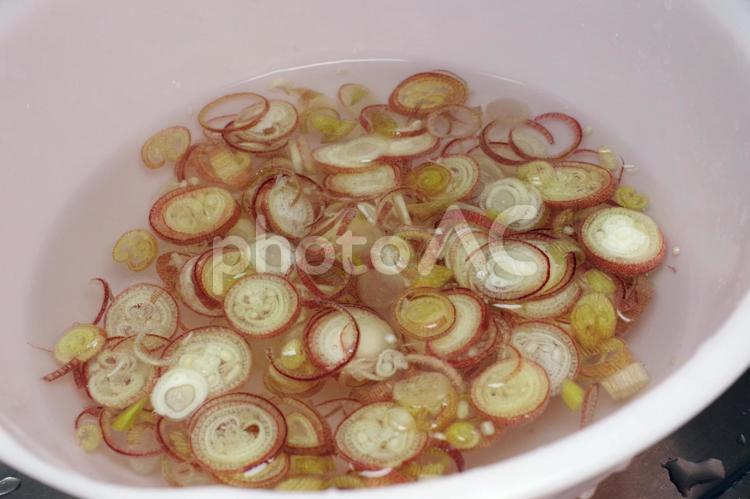 輪切りにして水にさらしているミョウガ ミョウガ,茗荷,薬味の写真素材