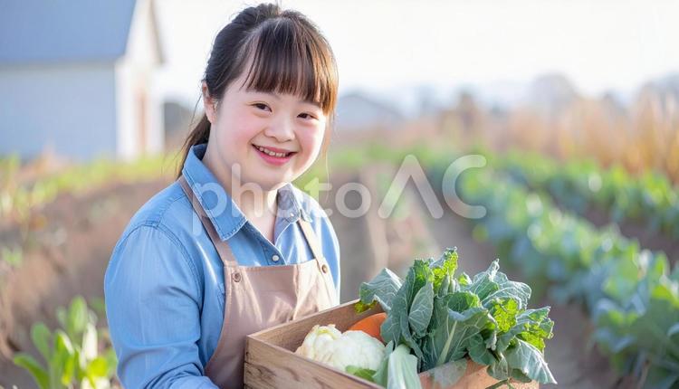 農場で働くダウン症の女性　野菜収穫 ダウン症,農場,働くの写真素材