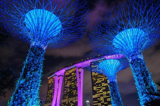 シンガポール ガーデンズ・バイ・ザ・ベイ シンガポール共和国,東南アジア,シンガポールの写真素材