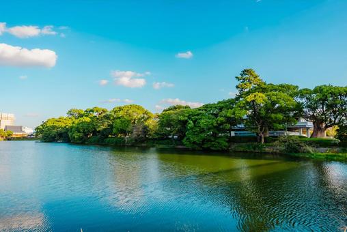 【佐賀】佐賀城跡 佐賀,城跡,佐賀城跡の写真素材