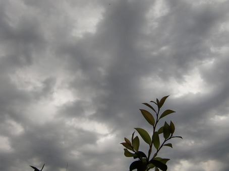 黒い雲-6 黒雲,暗雲,空の写真素材