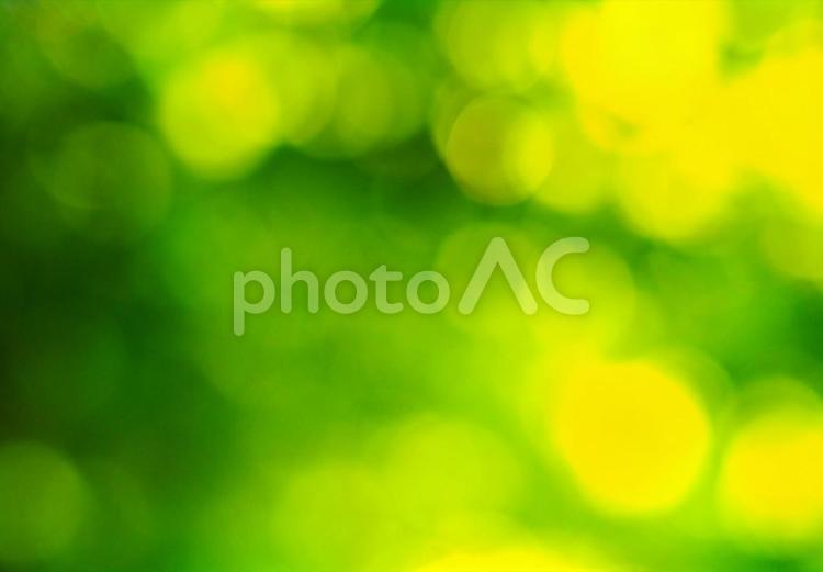 風薫る新緑の季節テクスチャ背景 風薫る,新緑の季節,そよ風の写真素材
