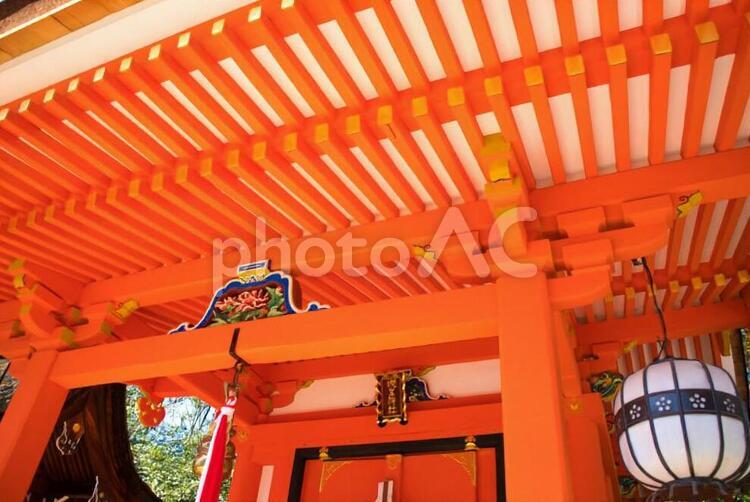 北野天満宮の社 北野天満宮,植物,旅行の写真素材