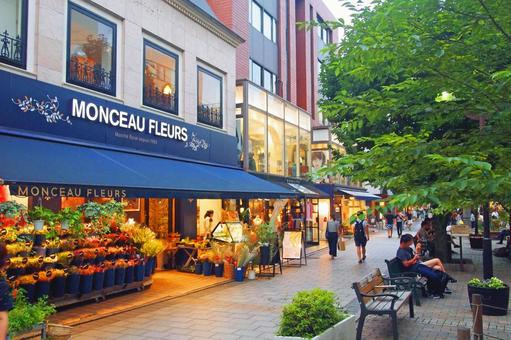 Jiyugaoka Mari Clair Street, JPG Jiyugaoka Mari Clair Street, 지유가오카, 멋쟁이, 성인, JPG