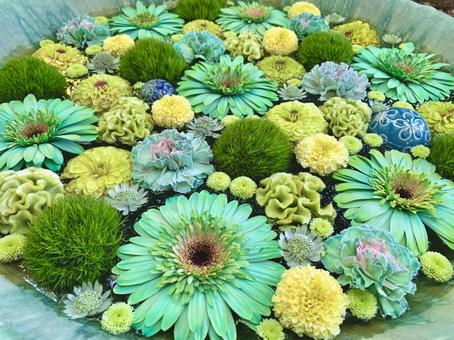 色鮮やかな花手水8 色鮮やかな花手水8 花手水,はなちょうず,手水舎の写真素材