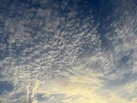 黄金色に染まる秋の夕空と広がるうろこ雲 黄金色に染まる秋の夕空と広がるうろこ雲の写真