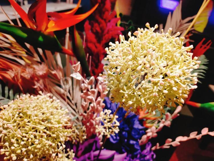 フラワーアレンジメント 02 花,可愛い,緑の写真素材