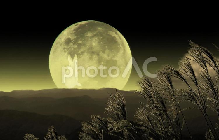 秋イメージ素材/十五夜お月様・月うさぎ 月,十五夜,お月様の写真素材
