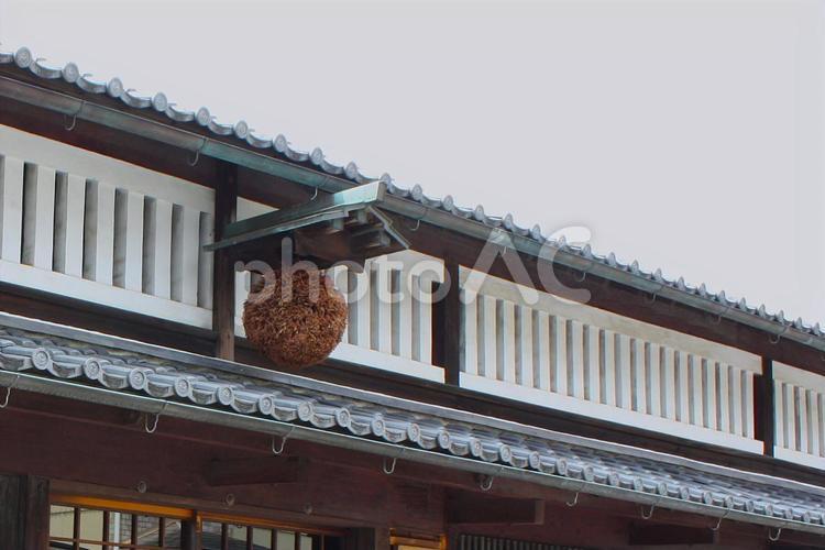 京都伏見の酒蔵の杉玉3　秋 京都,酒蔵,杉玉の写真素材