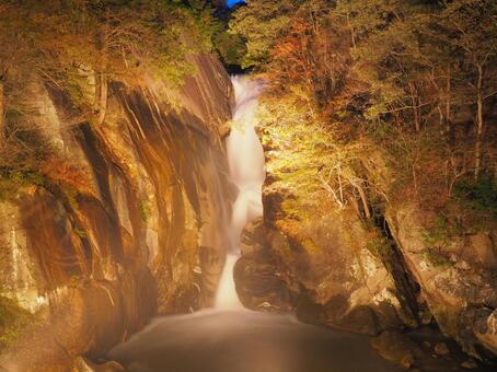 秋の紅葉に映える仙娥滝のライトアップ 国内旅行,日本,旅行の写真素材