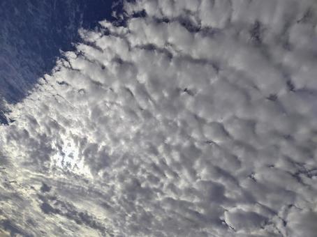 うろこ雲 うろこ雲の写真