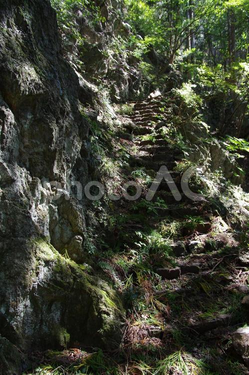 岩を削り出した感じの登山道 秘境,岩,登山の写真素材