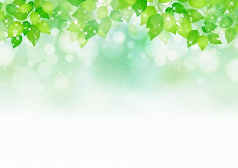 Leaf background / frame, JPG Leaf background / frame, frame, summer, leaf, JPG