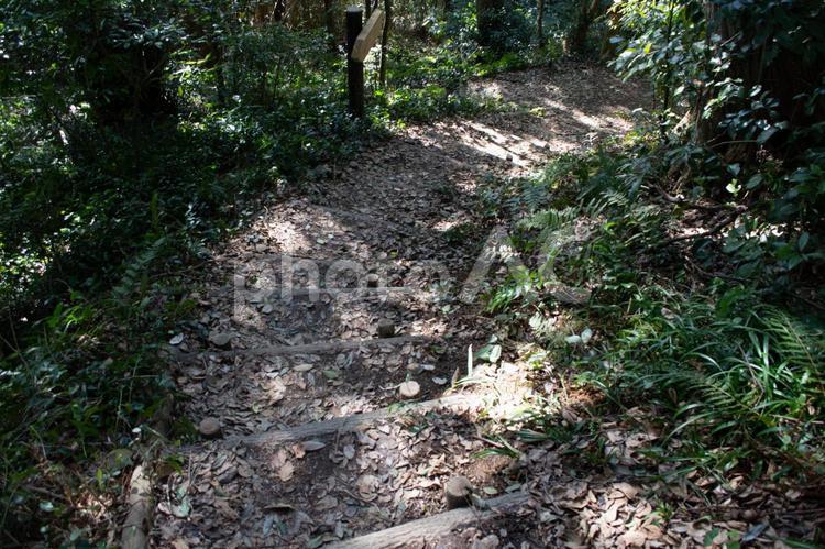 風景　階段下山 下山,風景,階段の写真素材