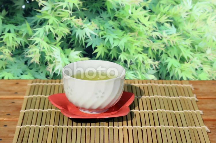 新緑の背景に湯呑みに注いだ緑茶 茶,緑茶,新緑の写真素材