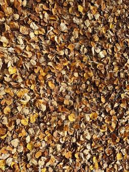 25_1105_枯葉01 テクスチャ,背景,枯葉の写真素材