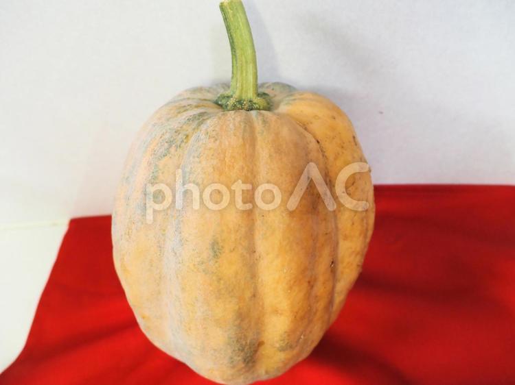 かぼちゃ かぼちゃ,秋,野菜の写真素材