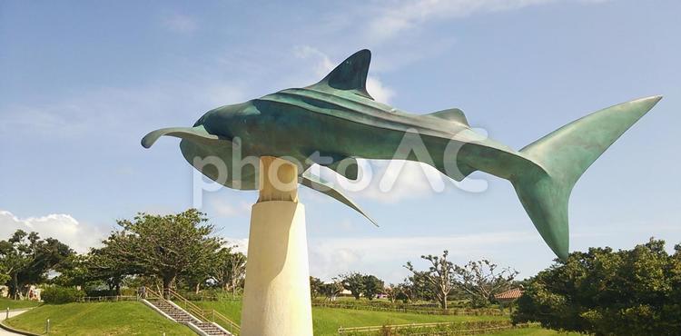 沖縄美ら海水族館4 沖縄,秋空,秋の写真素材