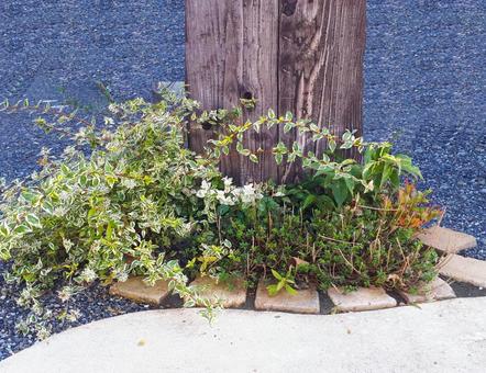 ガーデニング ガーデニングの写真