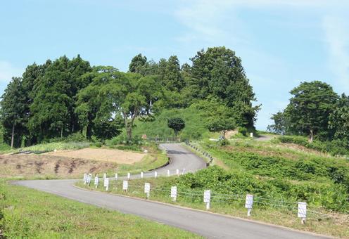 空へと続く道 空へと続く道の写真