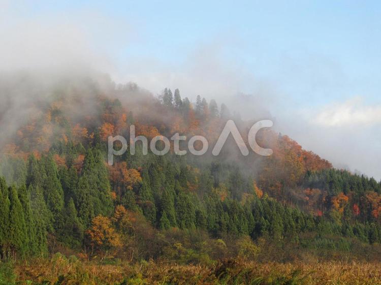 里山の秋の風景 里山,秋,紅葉の写真素材