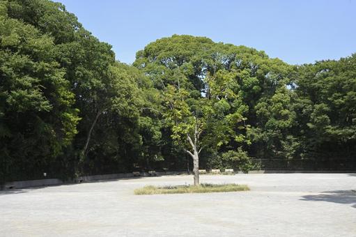 公園.広場 公園.広場の写真