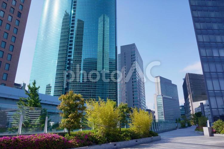 汐留シオサイトのビル街 汐留,シオサイト,東京の写真素材
