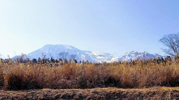 枯草の野と冬の山 枯草,冬,冠雪の写真素材