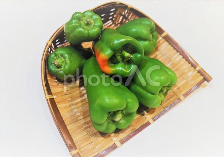 ピーマンと竹みの笊 ピーマン,野菜,夏野菜の写真素材