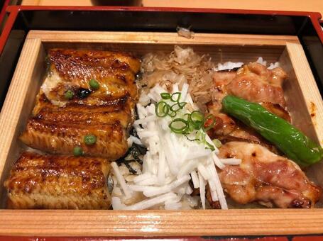 うな丼＆鳥丼 うなぎ,鰻,ウナギの写真素材