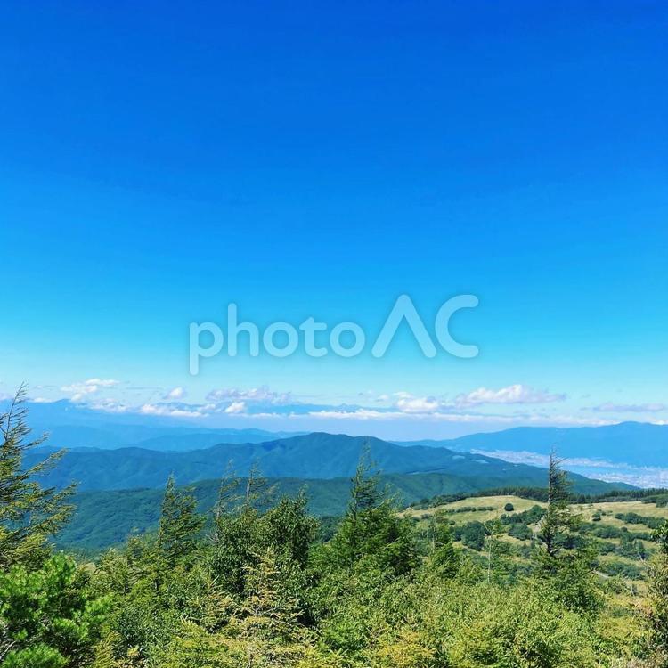 入笠山から望む北アルプス 入笠山,長野,北アルプスの写真素材